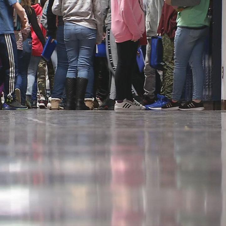 Students in school (generic)